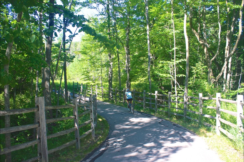 Alabaster Bike Path Arboretum - East